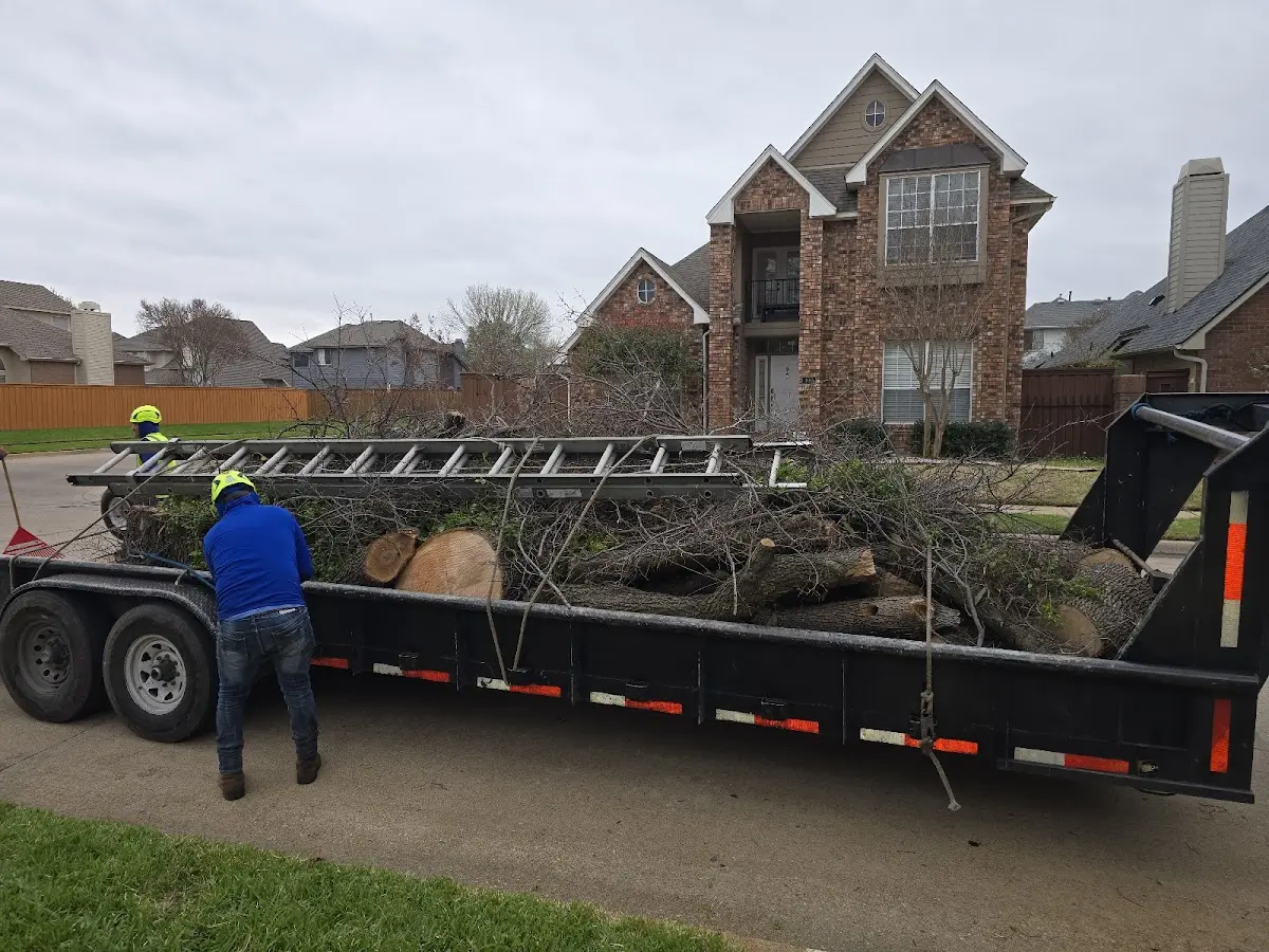 Expert Tree Fertilization with proper safety equipment in Julian